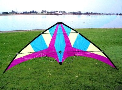 DUAL LINE CONTROL STUNT KITE NICE SPORT TRICK KITE  