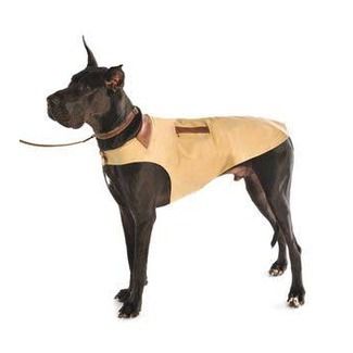 Dog brown coat/jacket size Medium 14 Dog Gone Smart Wear NICE 